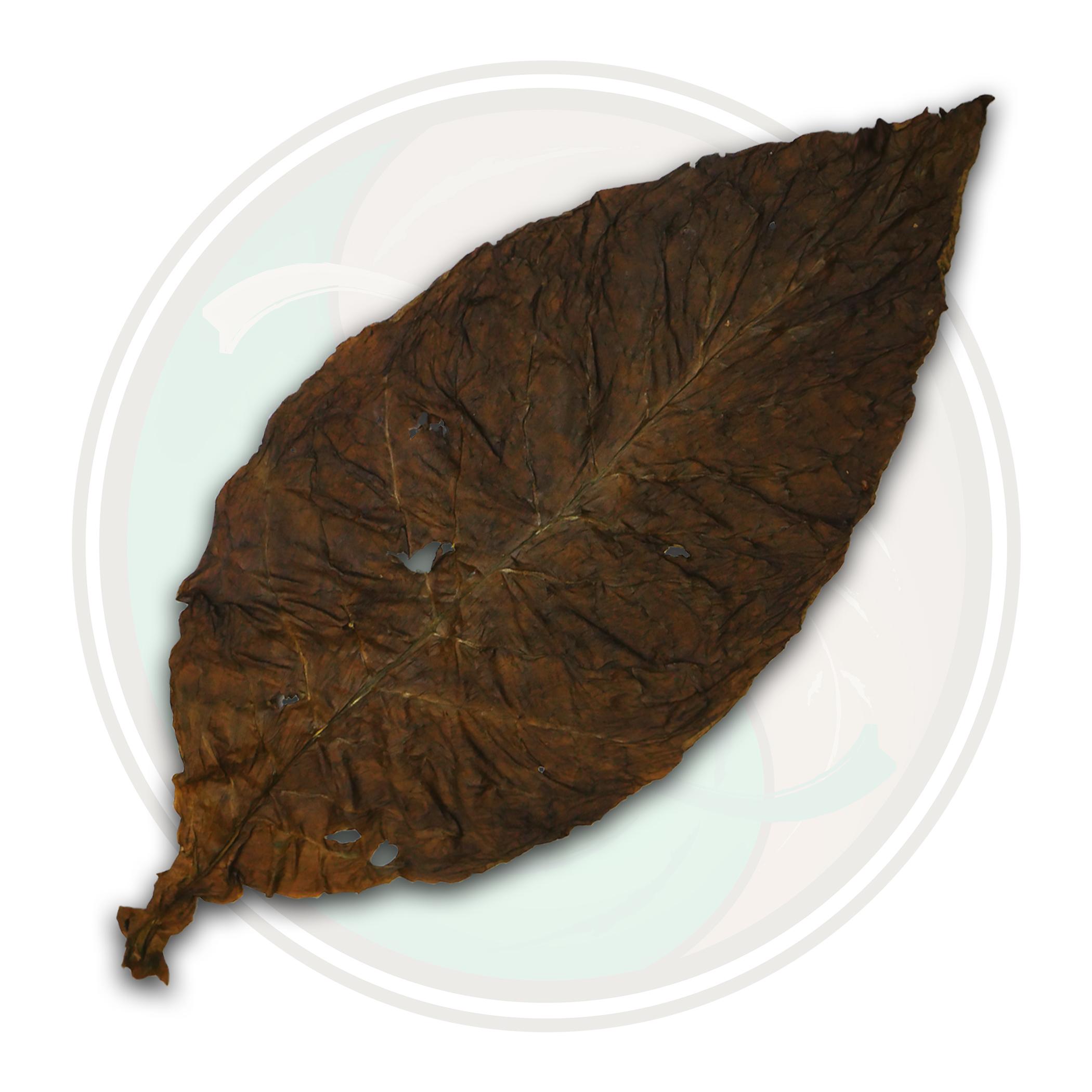 Fronto Leaf High Quality Dark Air Cured Tobacco Leaves Red Rose
